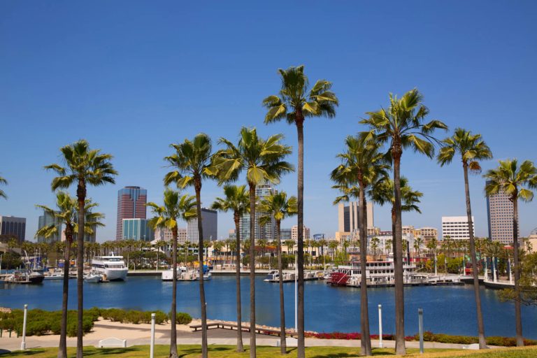 Downtown Long Beach waterfront skyline with palm trees and boats, representing the clean energy future supported by TECH Clean California.