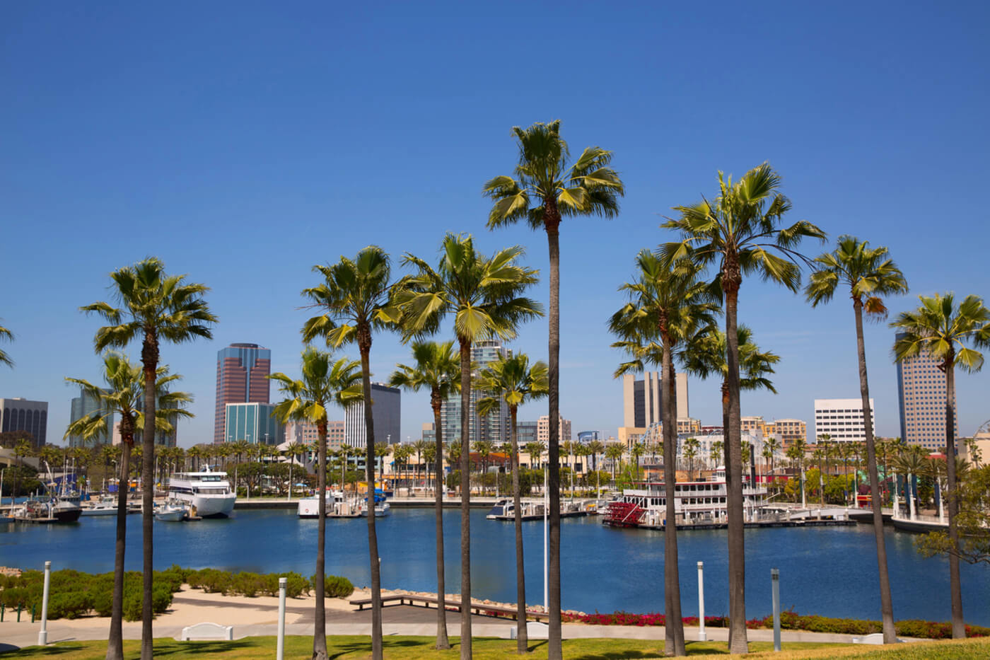 Downtown Long Beach waterfront skyline with palm trees and boats, representing the clean energy future supported by TECH Clean California.
